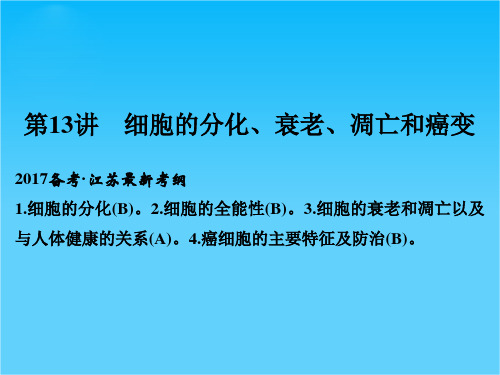 【创新设计】2017版高考生物(江苏专用)一轮复习课件第4单元 细胞的生命历程 第13讲