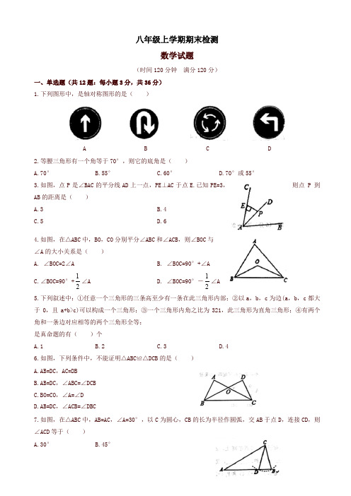 2019年山东省临清市八年级上册期末考试数学试卷有答案