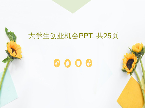 大学生创业机会PPT. 共25页27页PPT