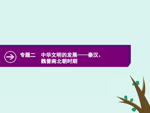 2020版高考历史二轮复习专题二中华文明的发展——秦汉、魏晋南北朝时期课件