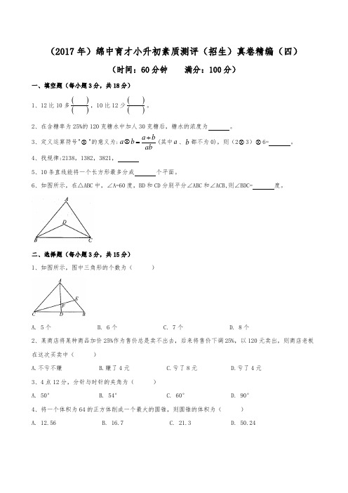 (2017年)绵阳中学育才学校小升初招生真卷精编(四)