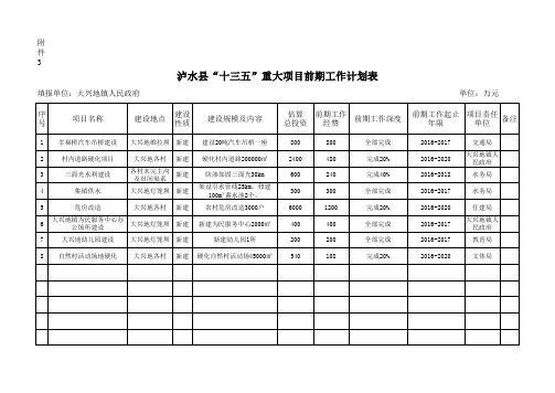 泸水县“十三五”重点新建项目计划表(大兴地)