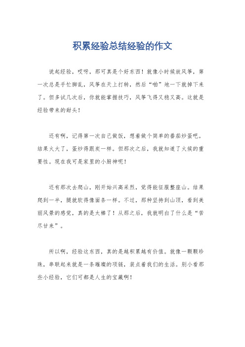 积累经验总结经验的作文