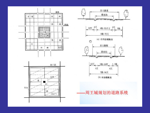 城市交通特征