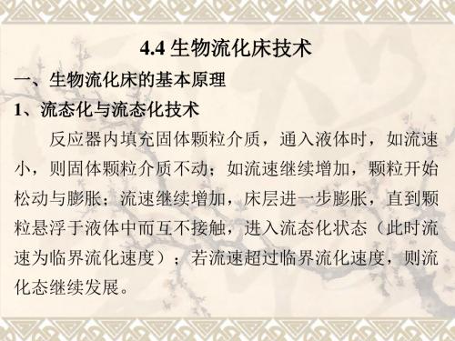 当代水处理技术44 生物流化床技术-PPT文档资料