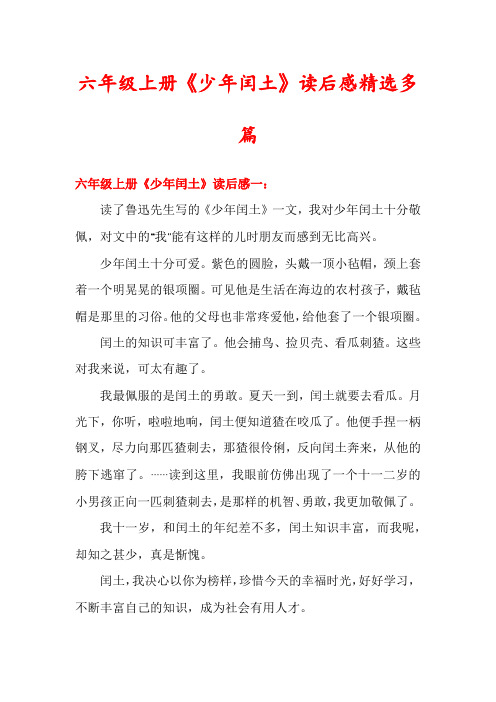 六年级上册《少年闰土》读后感精选多篇