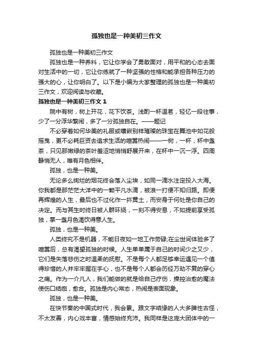孤独也是一种美初三作文
