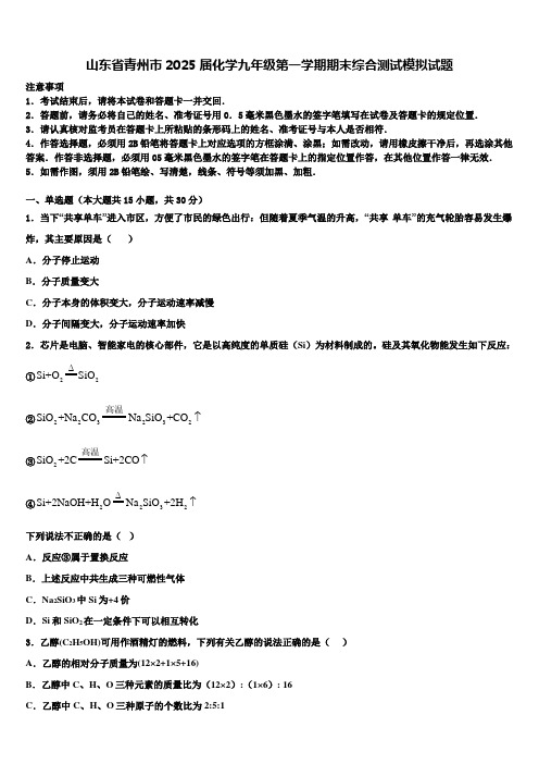 山东省青州市2025届化学九年级第一学期期末综合测试模拟试题含解析