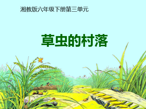 草虫的村落 ppt(湘教版)优质课件PPT