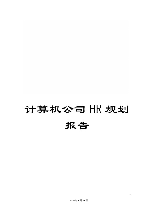 计算机公司HR规划报告