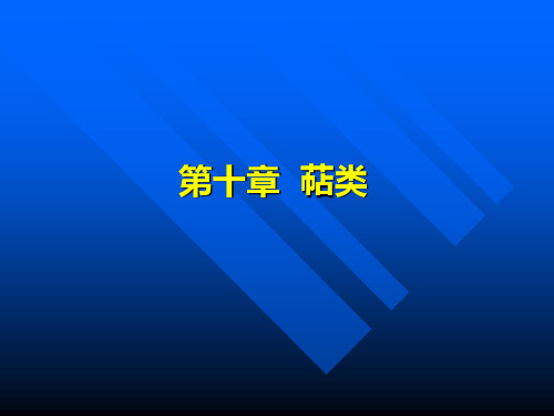 萜类结构