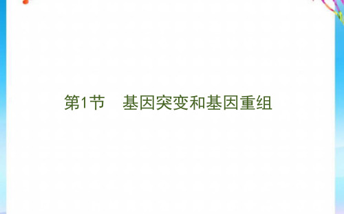 2021版高中生物第五章基因突变及其他变异1基因突变和基因重组课件新人教版必修2