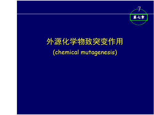 外源化学物致突变作用