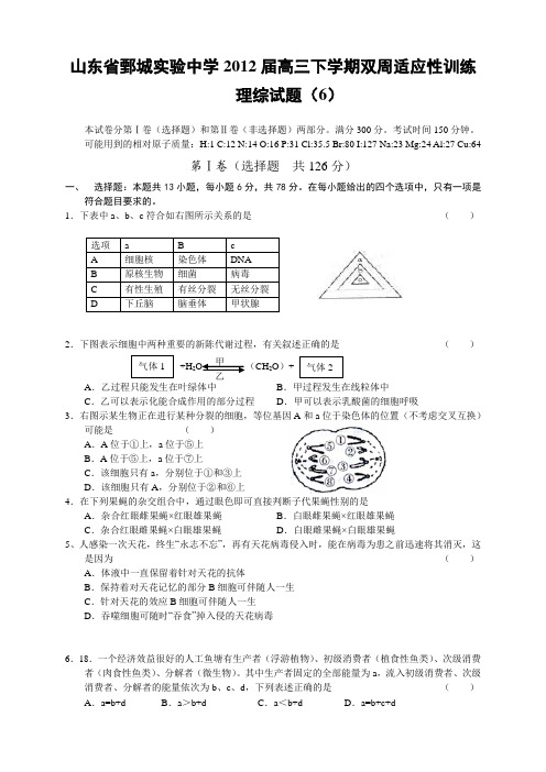 山东省鄄城实验中学2012届高三下学期双周适应性训练试题理科综合(6)