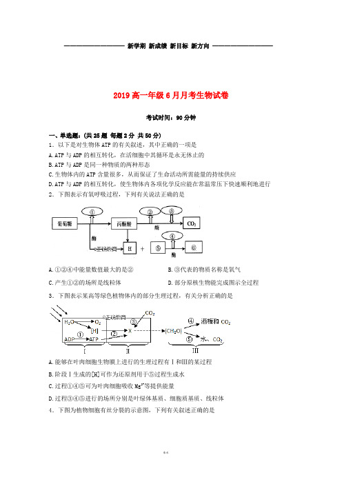 高一生物下学期6月月考试题(新版)新目标版