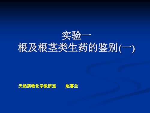 根、根茎类生药鉴别实验1.