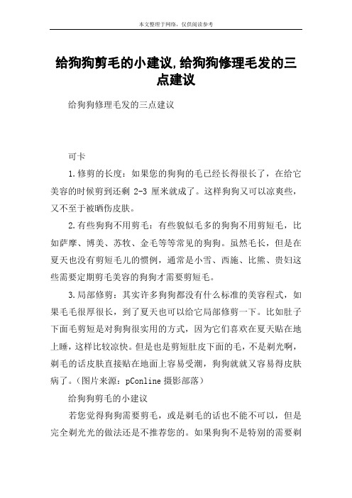 给狗狗剪毛的小建议,给狗狗修理毛发的三点建议