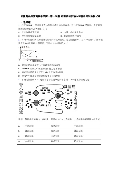 安徽萧县实验高级中学高一第一学期 细胞的物质输入和输出考试生物试卷