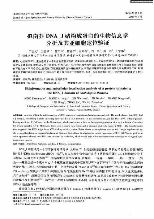 拟南芥DNA_J结构域蛋白的生物信息学分析及其亚细胞定位验证