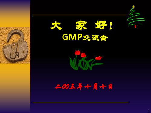 GMP检查细则(课堂PPT)