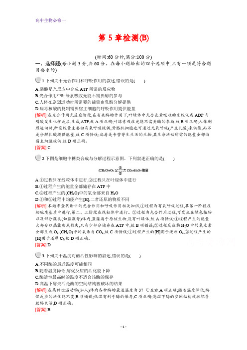 生物人教版必修1训练:第5章 细胞的能量供应和利用 检测(B) Word版含解析