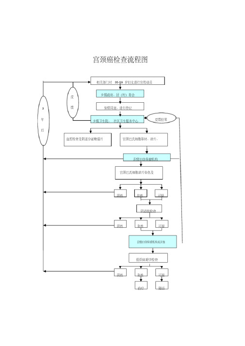 两癌筛查流程图.pdf