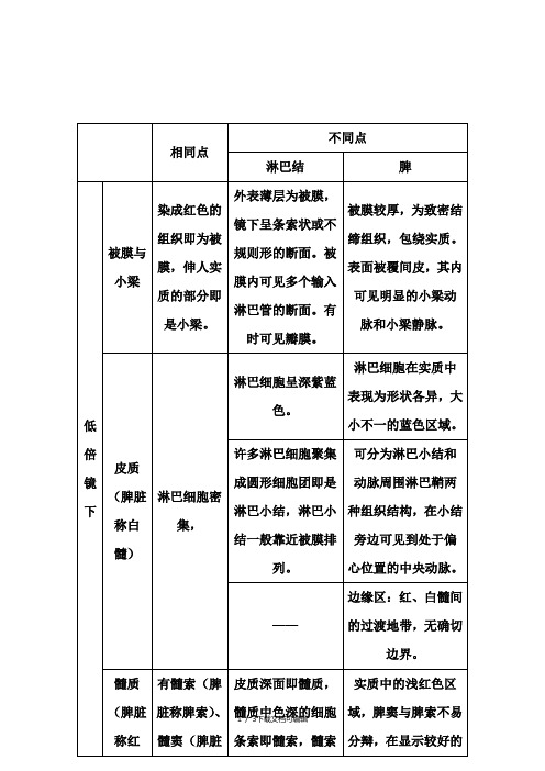 淋巴结和脾的结构和功能上的异同点