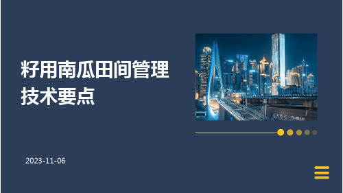 籽用南瓜田间管理技术要点