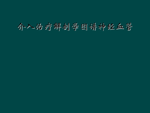 介入治疗解剖学图谱神经血管