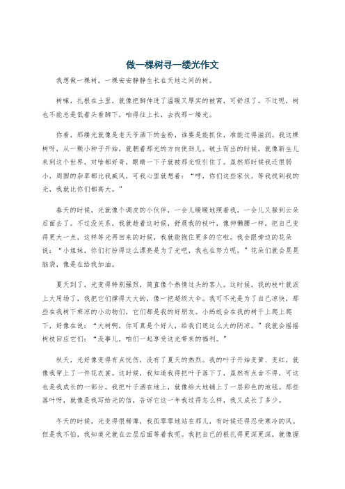 做一棵树寻一缕光作文