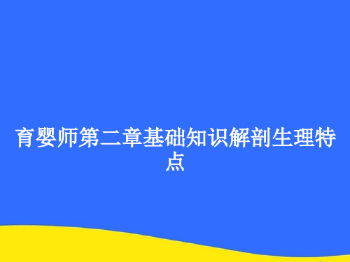 【优选】育婴师第二章基础知识解剖生理特点PPT资料