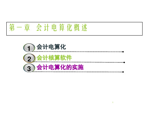 会计电算化概述【完整版】