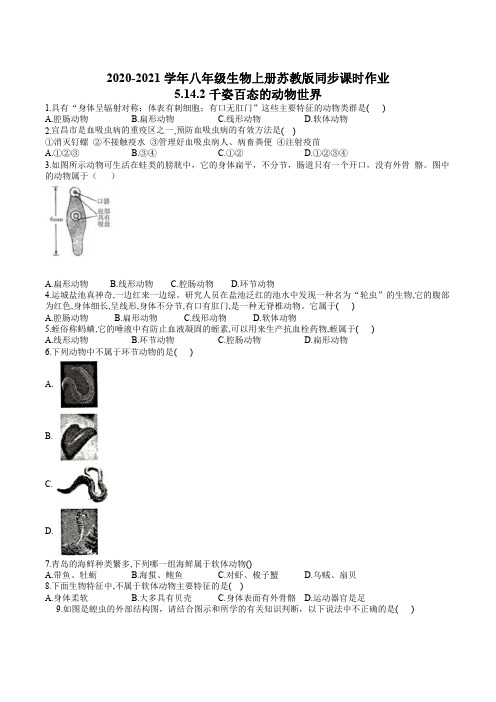 5.14.2千姿百态的动物世界(解析版)