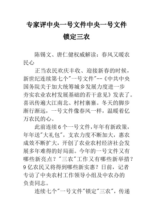 专家评中央一号文件中央一号文件锁定三农