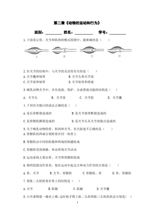 人教版八年级上册 生物 第二章《动物的运动和行为》同步练习及答案