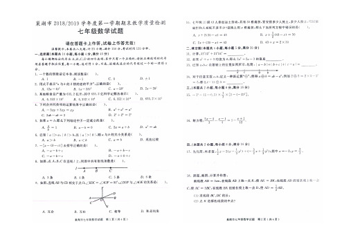 安徽省巢湖市2018-2019学年度第1学期 期末教学质量检测 七年级数学 试题附答案