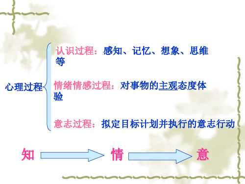 普通心理学第七八章 情绪、情感与意志