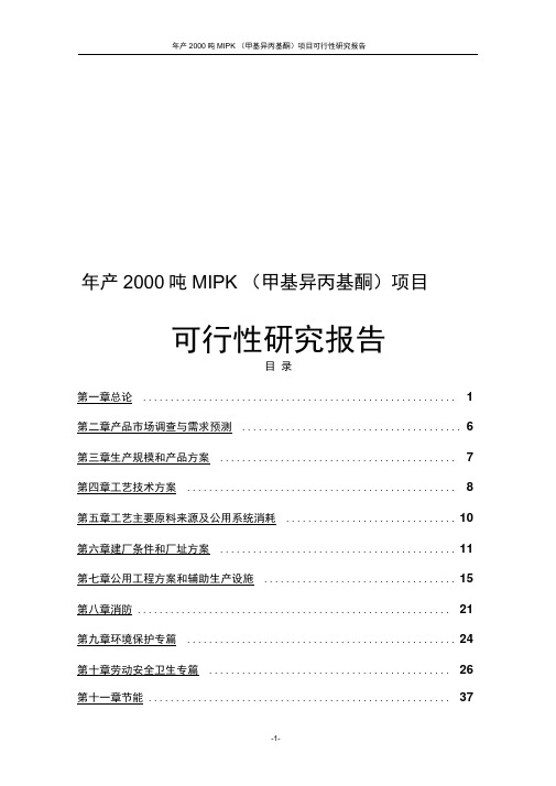 年产2000吨MIPK(甲基异丙基酮)项目可行性研究报告