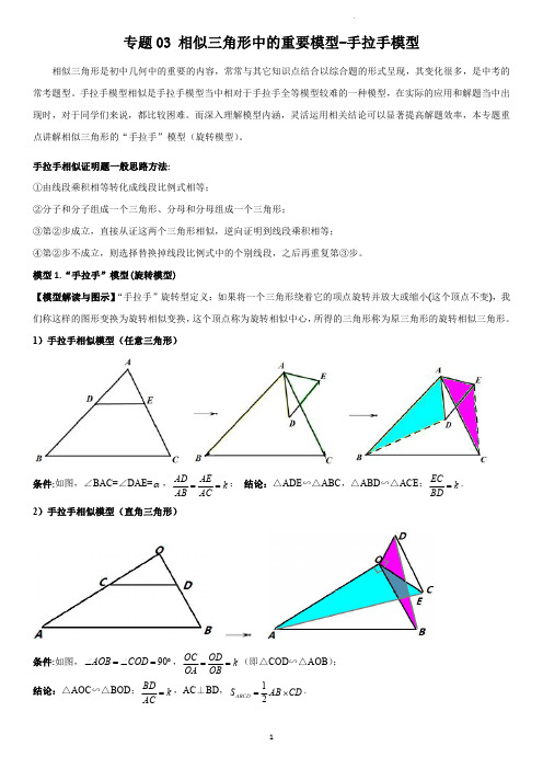 专题 相似三角形手拉手模型(学生版)