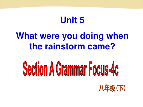 人教版八年级下册 Unit 5 Section A Grammar Focus-4c 一等奖优秀课件