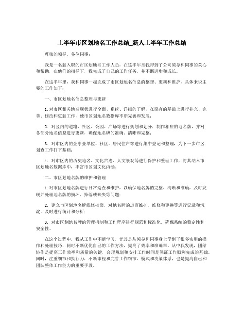 上半年市区划地名工作总结_新人上半年工作总结