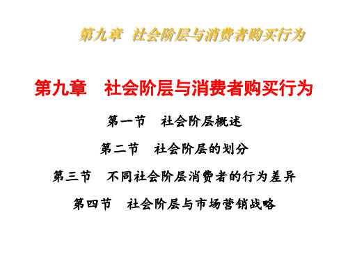 消费者行为学9社会阶层与消费者购买行为