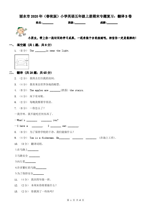 丽水市2020年(春秋版)小学英语五年级上册期末专题复习:翻译B卷