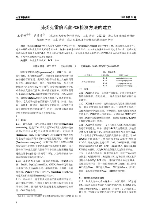 肺炎克雷伯氏菌PCR检测方法的建立