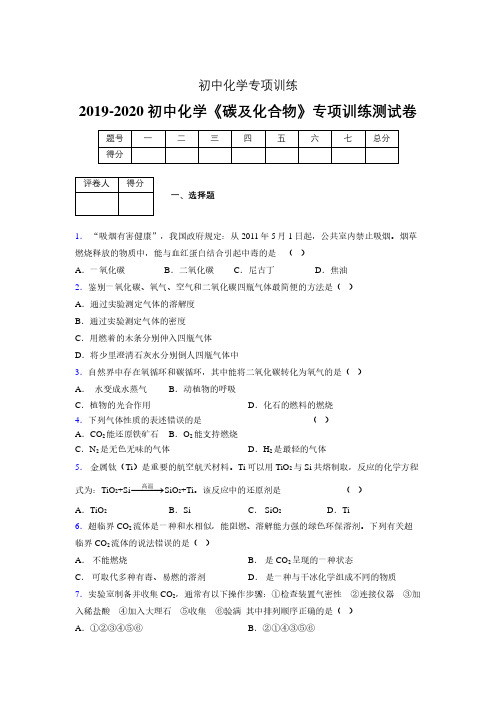 2019-2020学年初中化学《碳及化合物》专项训练模拟测试(含答案) (380)