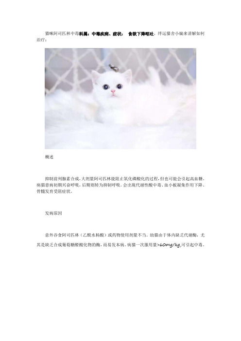 猫咪阿司匹林中毒症状及治疗方法