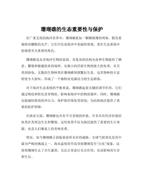 珊瑚礁的生态重要性与保护