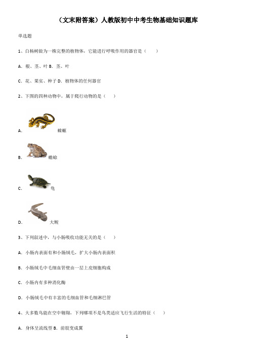 (文末附答案)人教版初中中考生物基础知识题库