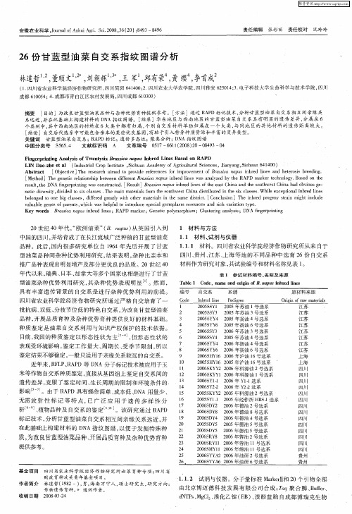 26份甘蓝型油菜自交系指纹图谱分析