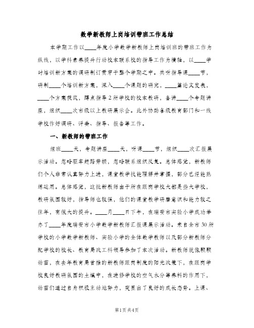 数学新教师上岗培训带班工作总结（2篇）